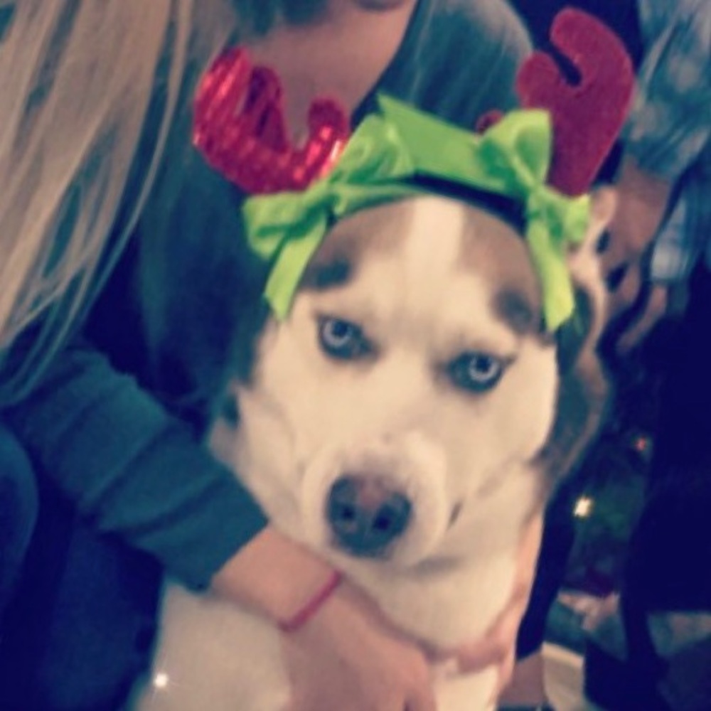 Meet your Posher, Vanessa